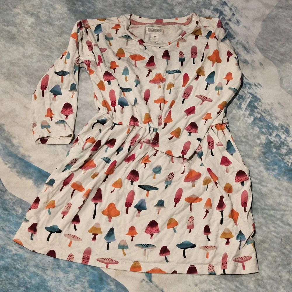 Gymboree Baby Mushroom 2t Dress With Pockets Elastic Waist